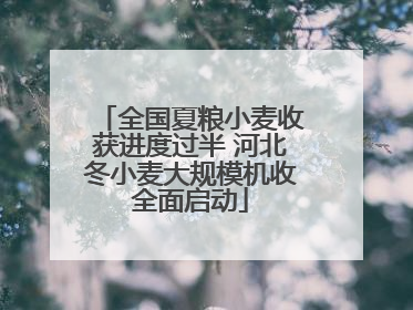 全国夏粮小麦收获进度过半 河北冬小麦大规模机收全面启动