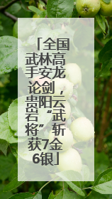 全国武林高手安龙论剑，贵阳云岩“武将”斩获7金6银