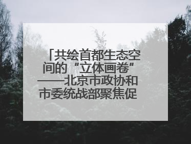 共绘首都生态空间的“立体画卷”——北京市政协和市委统战部聚焦促进绿化彩化美化生态空间建设联合协商议政