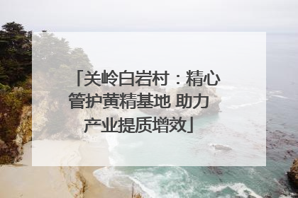 关岭白岩村：精心管护黄精基地 助力产业提质增效
