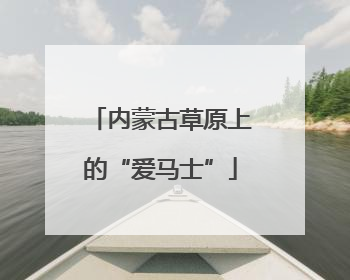 内蒙古草原上的“爱马士”