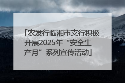 农发行临湘市支行积极开展2025年“安全生产月”系列宣传活动