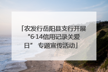 农发行岳阳县支行开展“6·14信用记录关爱日” 专题宣传活动