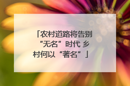 农村道路将告别“无名”时代 乡村何以“著名”