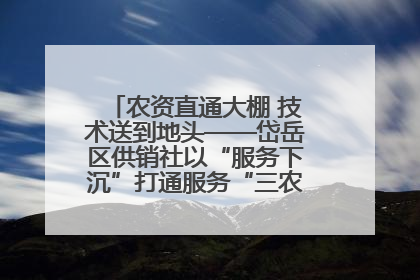 农资直通大棚 技术送到地头——岱岳区供销社以“服务下沉”打通服务“三农”最后一公里