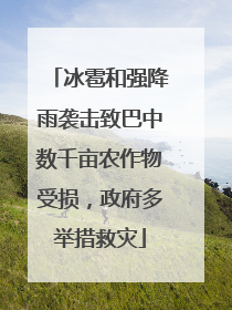 冰雹和强降雨袭击致巴中数千亩农作物受损，政府多举措救灾