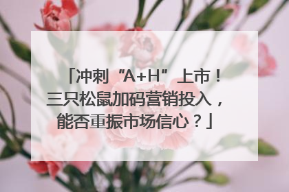 冲刺“A+H”上市！三只松鼠加码营销投入，能否重振市场信心？