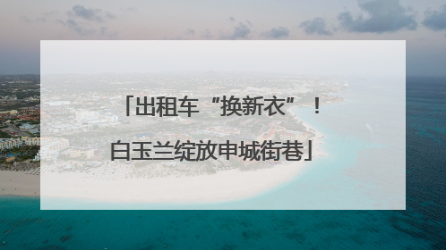 出租车“换新衣”！白玉兰绽放申城街巷