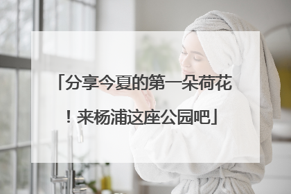 分享今夏的第一朵荷花！来杨浦这座公园吧