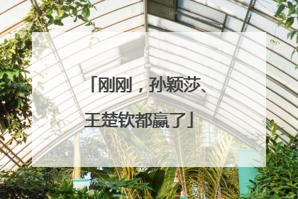 刚刚，孙颖莎、王楚钦都赢了