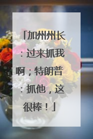 加州州长：过来抓我啊；特朗普：抓他，这很棒！