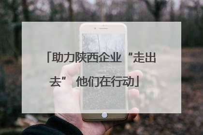 助力陕西企业“走出去” 他们在行动