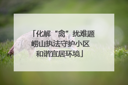 化解“禽”扰难题 崂山执法守护小区和谐宜居环境