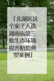 北湖区这个案子入选湖南省第三批生态环境损害赔偿典型案例