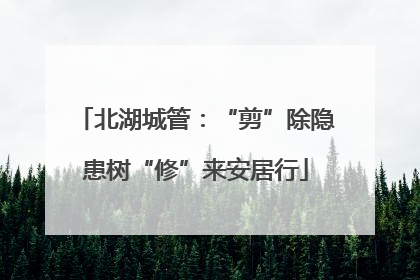 北湖城管：“剪”除隐患树“修”来安居行