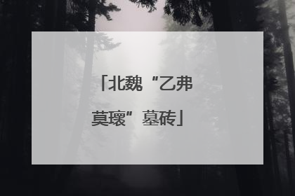 北魏“乙弗莫瓌”墓砖