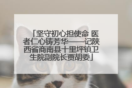 坚守初心担使命 医者仁心铸芳华——记陕西省商南县十里坪镇卫生院副院长贾胡委