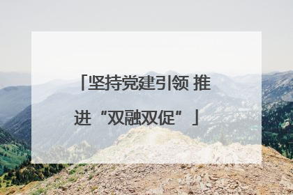 坚持党建引领 推进“双融双促”
