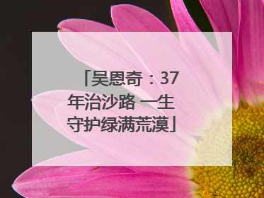 吴恩奇：37年治沙路 一生守护绿满荒漠