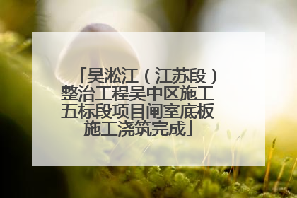 吴淞江（江苏段）整治工程吴中区施工五标段项目闸室底板施工浇筑完成