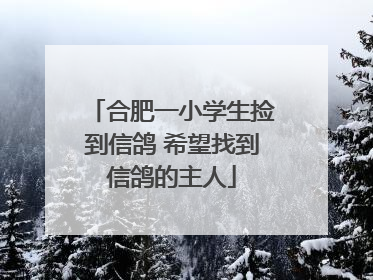 合肥一小学生捡到信鸽 希望找到信鸽的主人