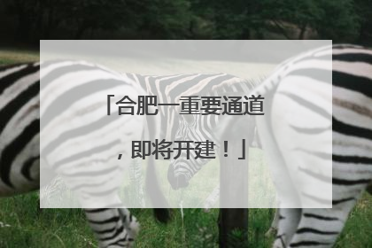 合肥一重要通道，即将开建！