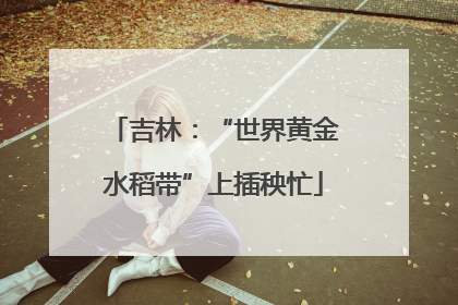 吉林：“世界黄金水稻带”上插秧忙