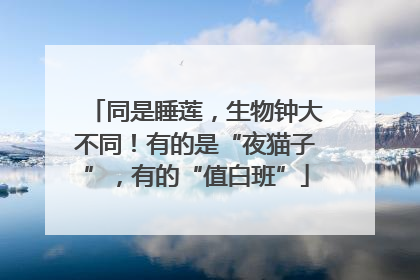 同是睡莲，生物钟大不同！有的是“夜猫子”，有的“值白班”