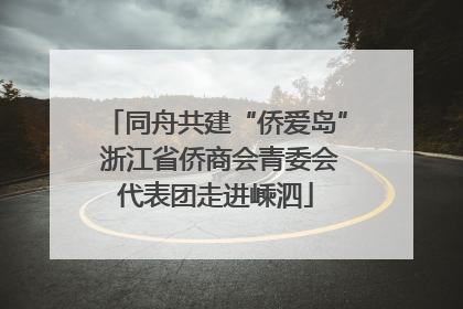 同舟共建“侨爱岛” 浙江省侨商会青委会代表团走进嵊泗