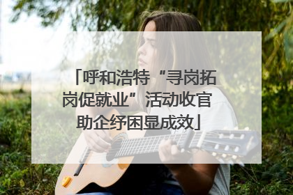 呼和浩特“寻岗拓岗促就业”活动收官 助企纾困显成效