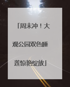 周末冲！大观公园双色睡莲惊艳绽放