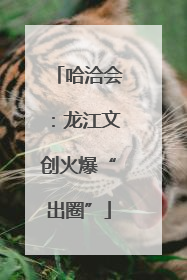 哈洽会：龙江文创火爆“出圈”