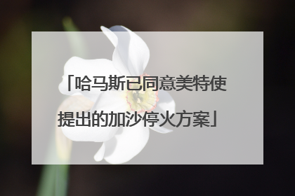 哈马斯已同意美特使提出的加沙停火方案