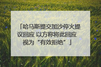 哈马斯提交加沙停火提议回应 以方称将此回应视为“有效拒绝”