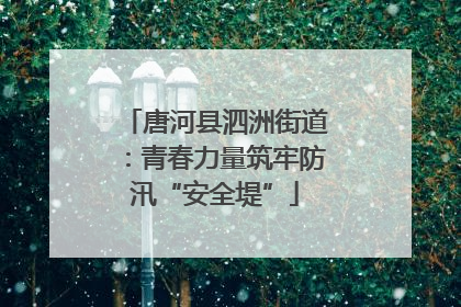 唐河县泗洲街道：青春力量筑牢防汛“安全堤”