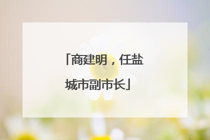商建明，任盐城市副市长