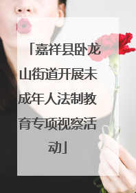 嘉祥县卧龙山街道开展未成年人法制教育专项视察活动