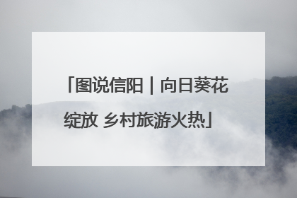 图说信阳｜向日葵花绽放 乡村旅游火热