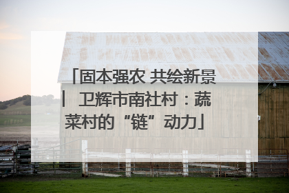 固本强农 共绘新景 ︳卫辉市南社村：蔬菜村的“链”动力