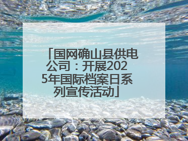 国网确山县供电公司：开展2025年国际档案日系列宣传活动
