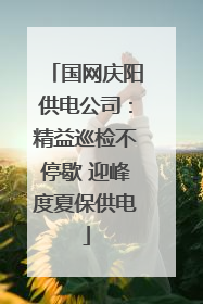 国网庆阳供电公司：精益巡检不停歇 迎峰度夏保供电