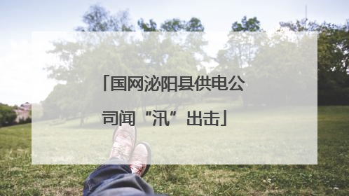 国网泌阳县供电公司闻“汛”出击
