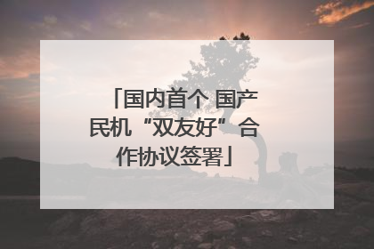 国内首个 国产民机“双友好”合作协议签署
