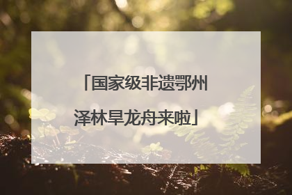 国家级非遗鄂州泽林旱龙舟来啦