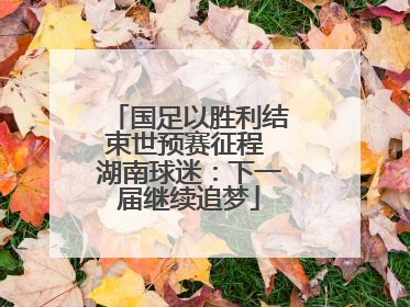 国足以胜利结束世预赛征程 湖南球迷：下一届继续追梦