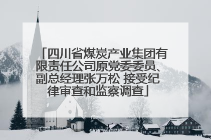 四川省煤炭产业集团有限责任公司原党委委员、副总经理张万松 接受纪律审查和监察调查