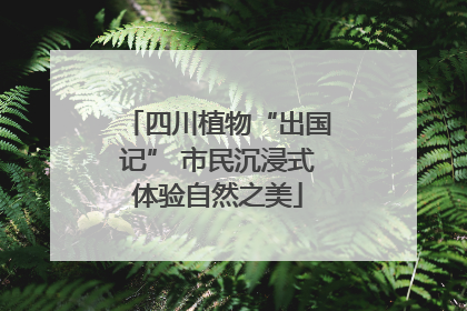 四川植物“出国记” 市民沉浸式体验自然之美