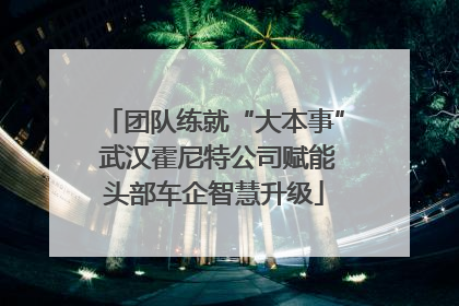 团队练就“大本事” 武汉霍尼特公司赋能头部车企智慧升级