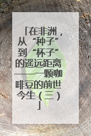 在非洲，从“种子”到“杯子”的遥远距离——一颗咖啡豆的前世今生（三）