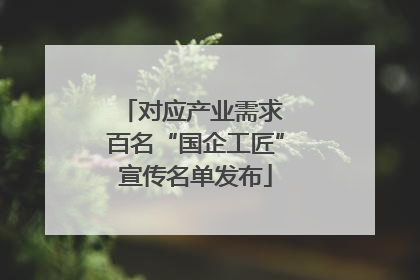 对应产业需求 百名“国企工匠”宣传名单发布